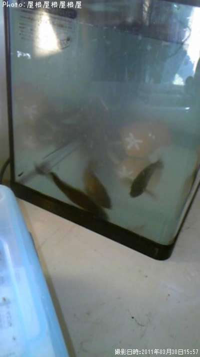 ��Х롢���ʥ��������