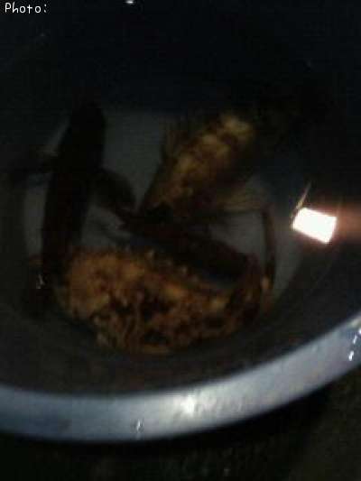 ��Х롦���饫��