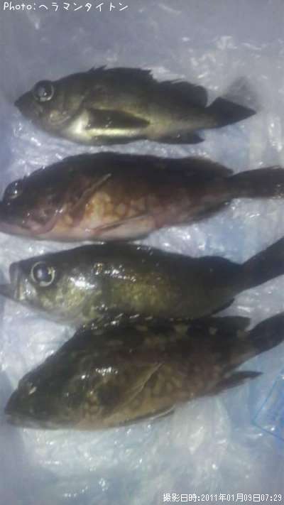 ��Х롢������