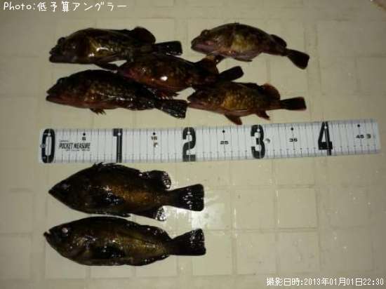 ��Х롢������