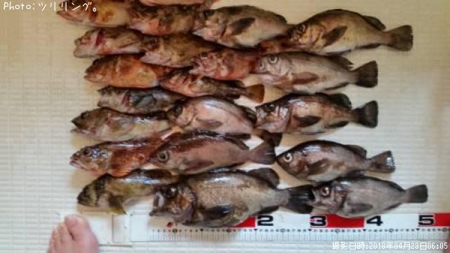 ��Х롣������