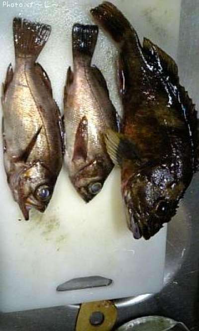 ��Х롦������