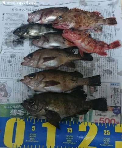 ��Х롦������