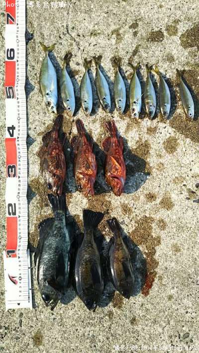 ��Х롢������������