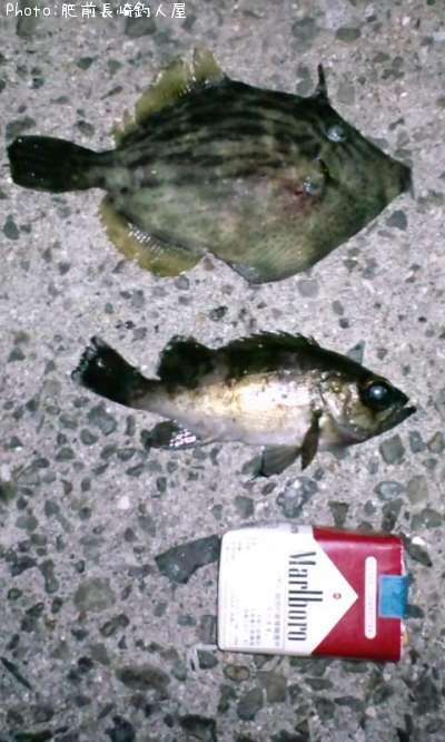 ��Х������ϥ�