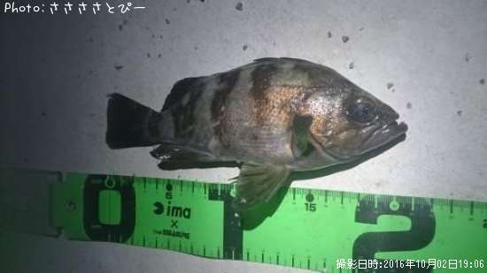 ��Х���᥸��