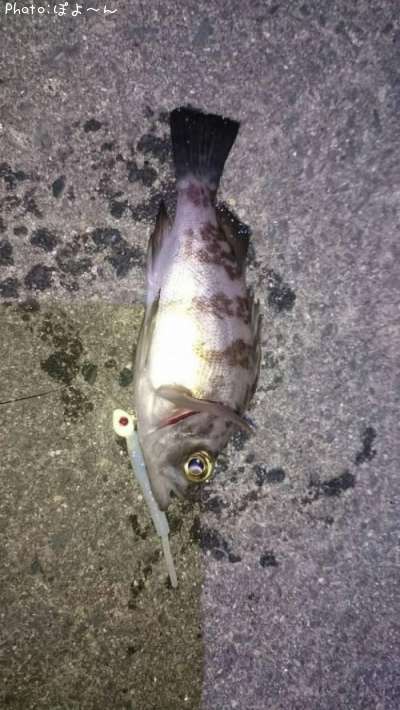 ��Х�ʥߥˡ�