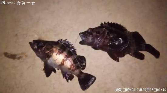 ��Х����饽��