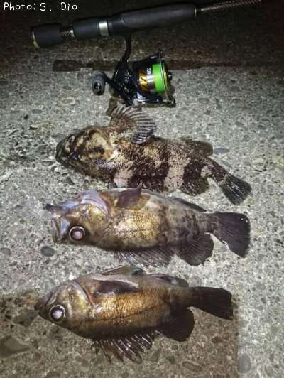 ��Х롢��饽��