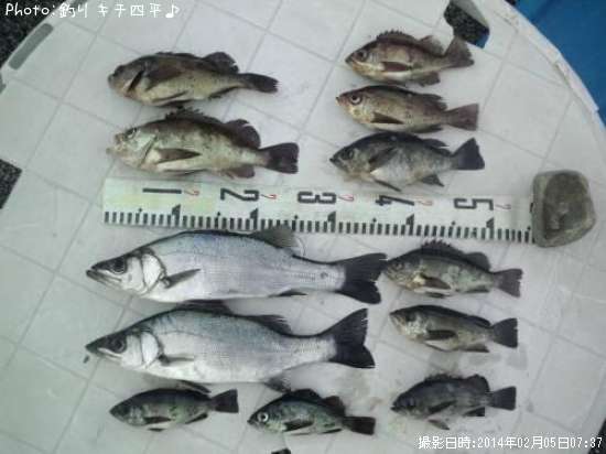 ��Х�����