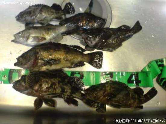 ��Х롢����