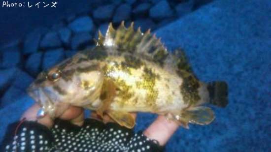 ��Х�������Υ�