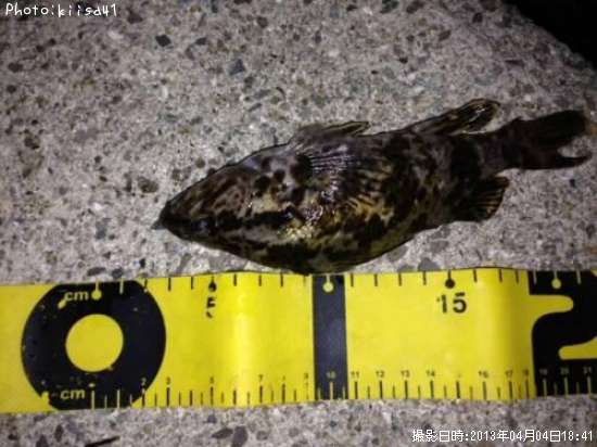 ��Х�������Υ�