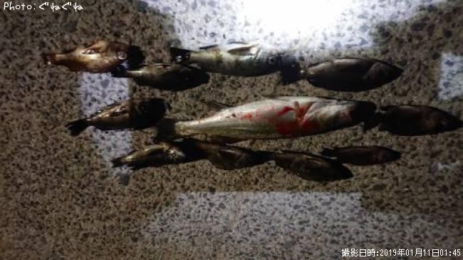 ��Х�ȥ����Х�