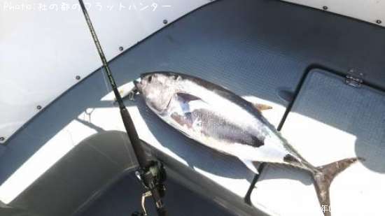 �᥸�ޥ���