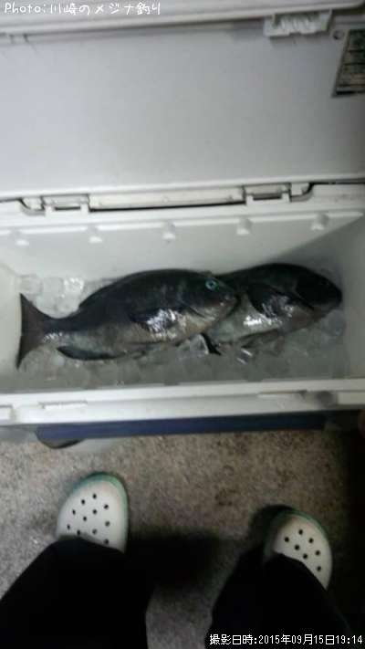 �����᥸��