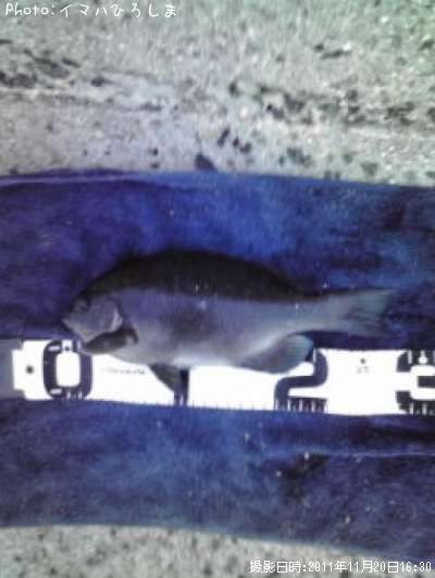 �����᥸��