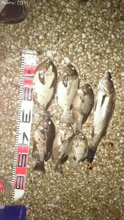 �᥸�ʡ������Х�