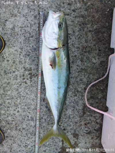 �᥸������