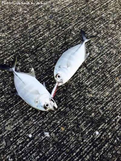 ��å�����