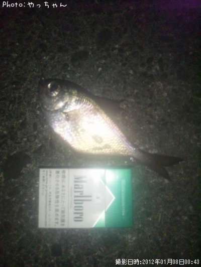 �ߥʥߥϥ����