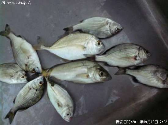 �ߥˤ�������