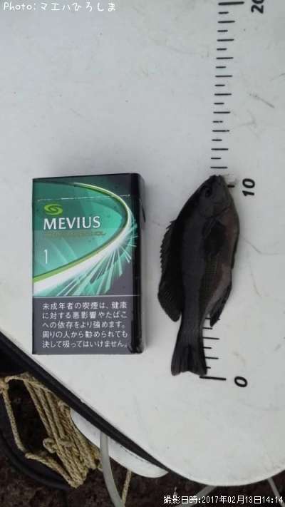 �ߥ˥ߥ˥���