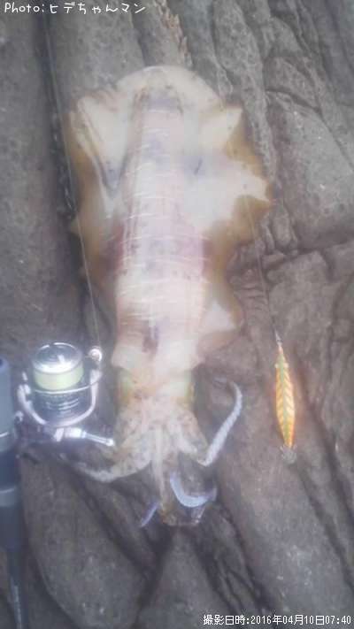 �ߥ�����