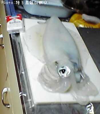 �ߥ�����