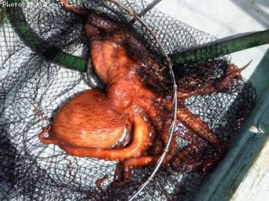 �ߥ�����