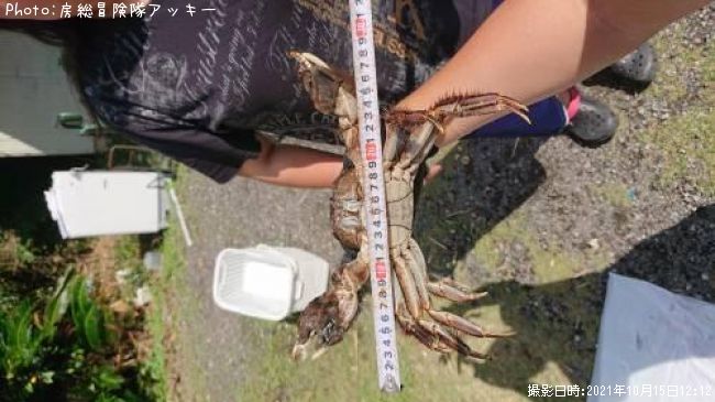 �⥯������