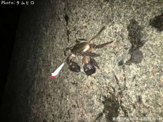 �⥯������