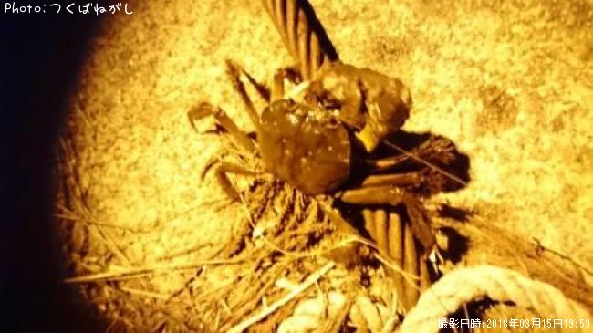 �⥯������