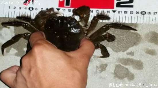 �⥯������