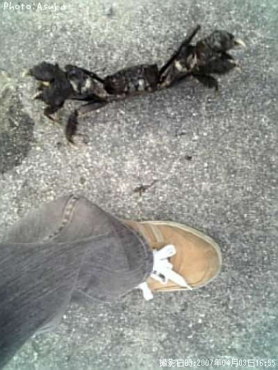 �⥯������