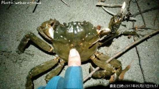 �⥯������