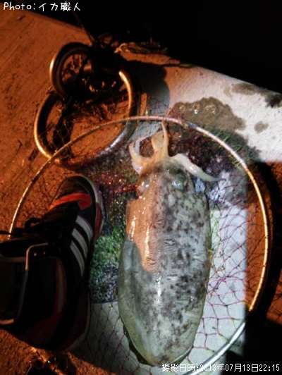 ��󥴥�����