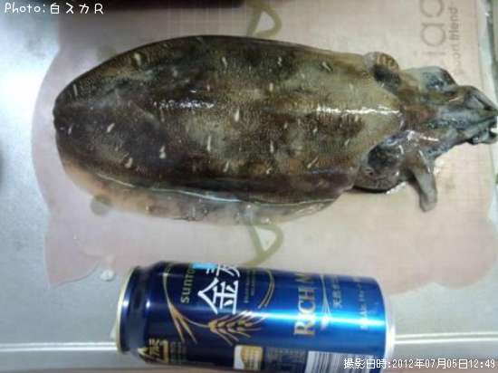 ��󥴥�����