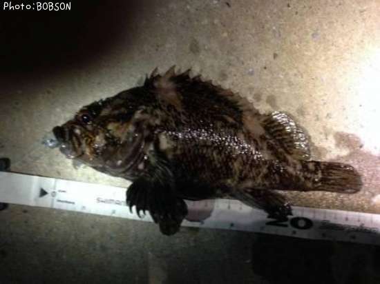 �����饽��