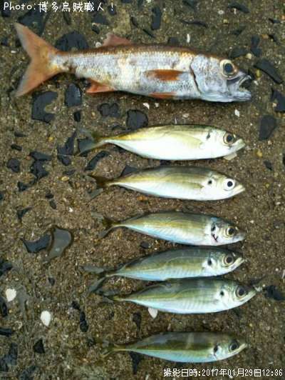 ��ġ�����