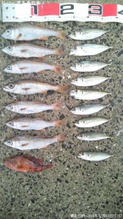 ��ġ�������������