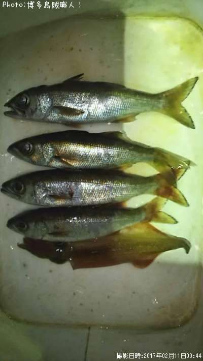 ��ġ���ꥤ��