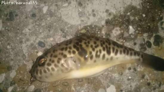 �Ժٹ��ʲ���