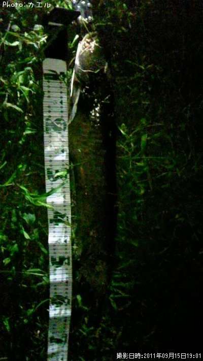 �ʥޥ��󥺥�