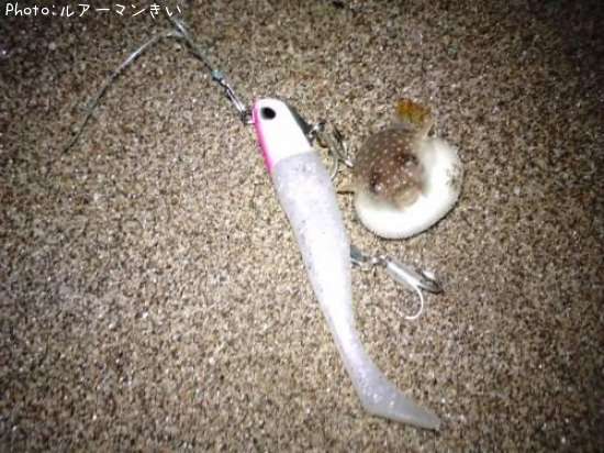 �ͥ��Ǥ���