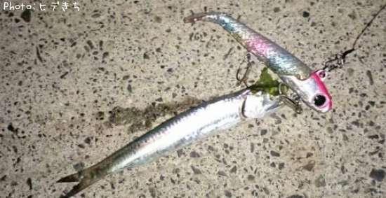 �ͥ��ʥ����������亮��