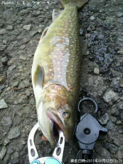 �˥��ޥ��ڡ���