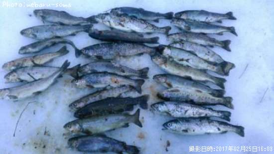 ���˥��ޥ��ʸ���������