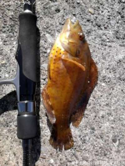 ���ϥ����٥�