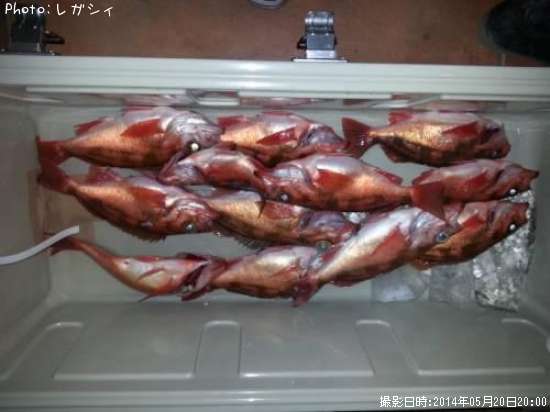 ������Х�